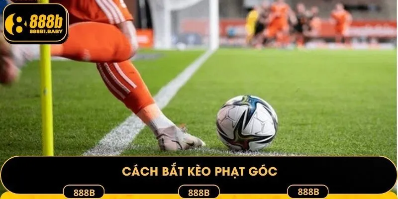 Cách bắt kèo phạt góc