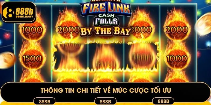 Thông tin chi tiết về mức cược tối ưu