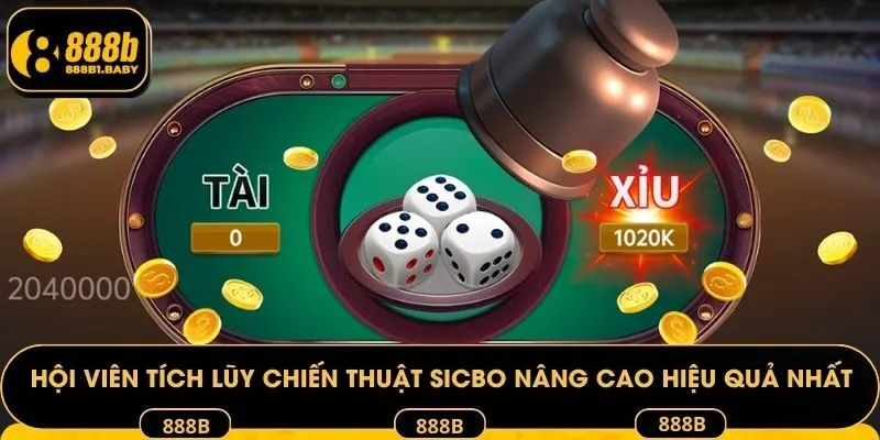 Hội viên tích lũy chiến thuật Sicbo nâng cao hiệu quả nhất