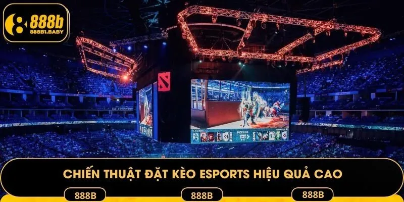 Áp dụng mẹo hữu ích gia tăng hiệu quả đặt cược