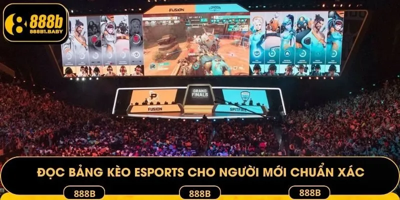 Đọc bảng kèo Esports cho người mới chuẩn xác nhất
