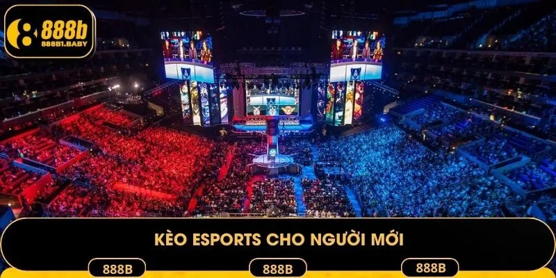 Kèo Esports cho người mới