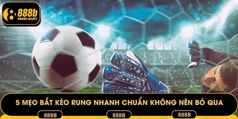 5 mẹo bắt kèo rung nhanh chuẩn không nên bỏ qua tại sảnh